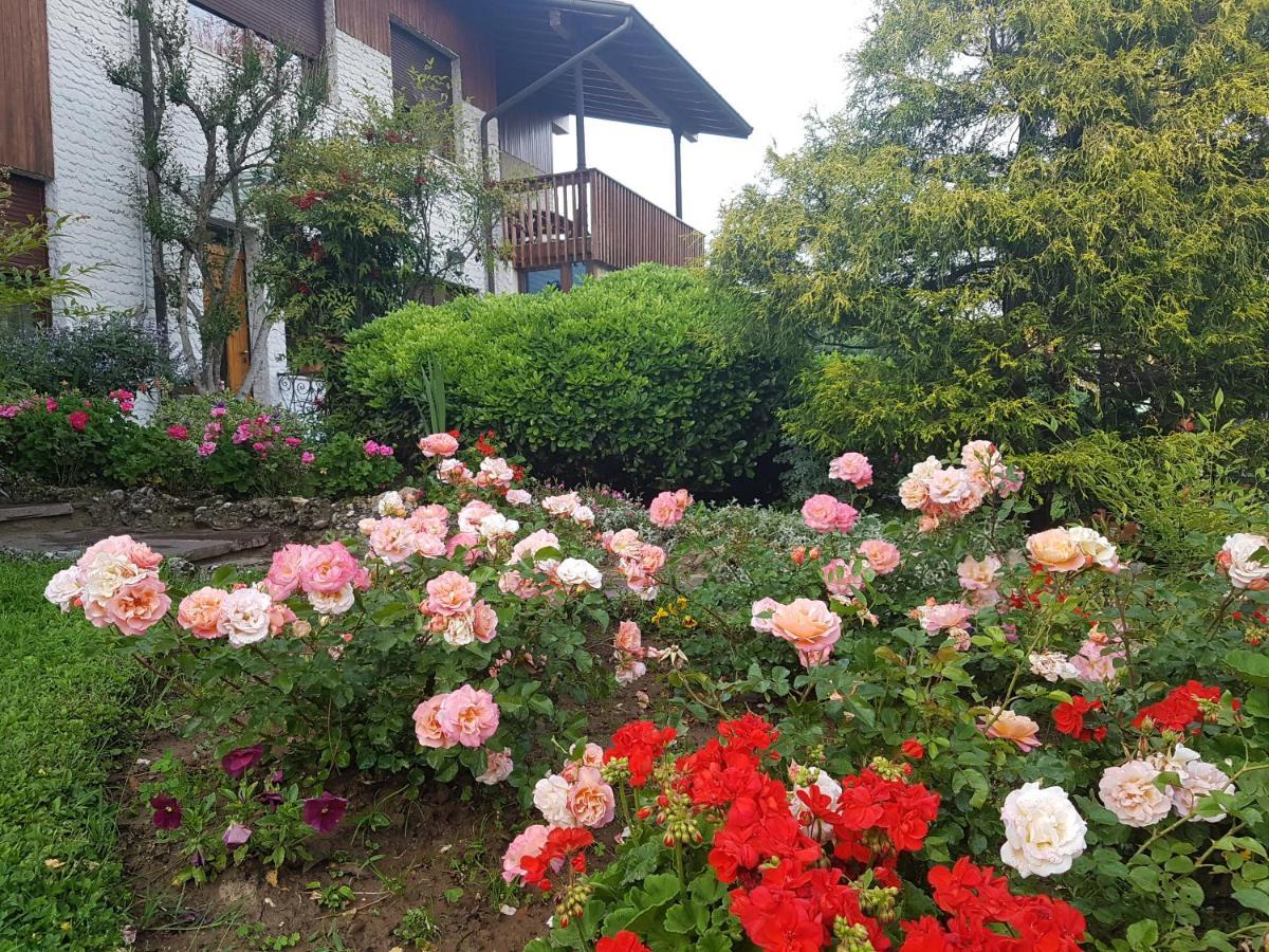 B&B Fontanella Curno 외부 사진