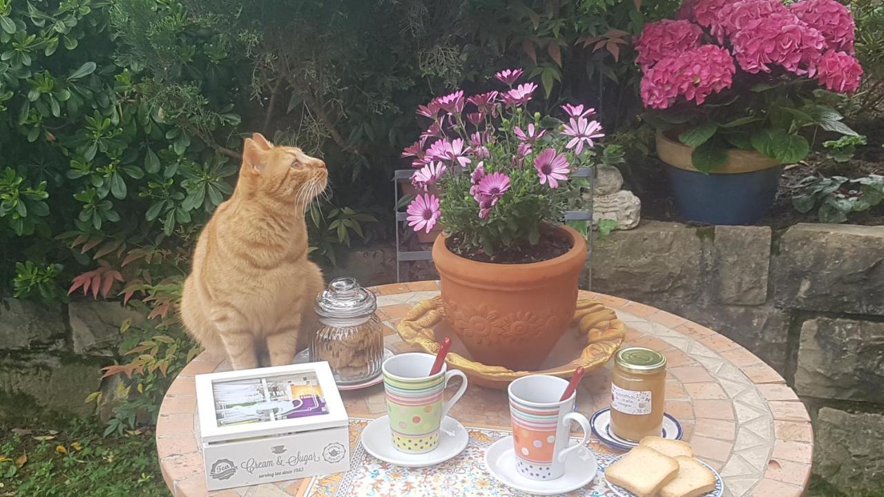 B&B Fontanella Curno 외부 사진
